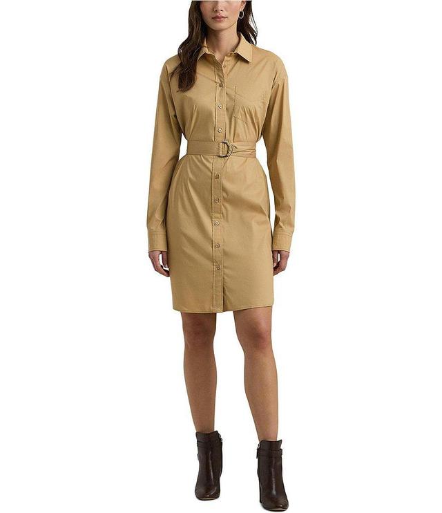 Lauren Ralph Lauren Belted Stretch Cotton-Blend Shirt Dress Product Image