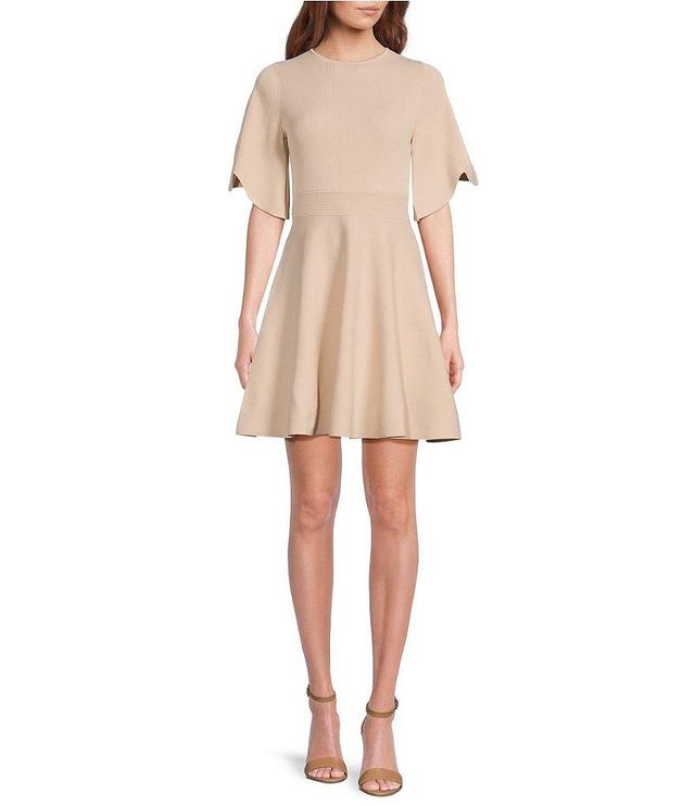 Ted Baker London Oliviha Ribbed Knit Crew Neck Short Flutter Sleeve Fit and Flare Dress Product Image