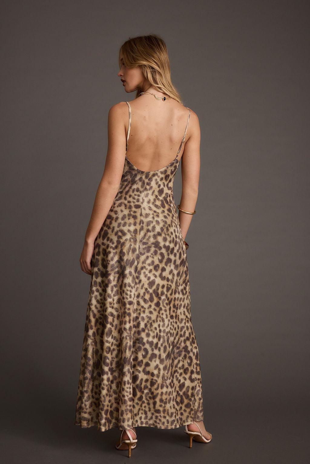 Wild Thing Leopard Print Mesh Maxi Dress Product Image