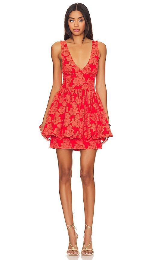 Leighton Mini Dress Product Image