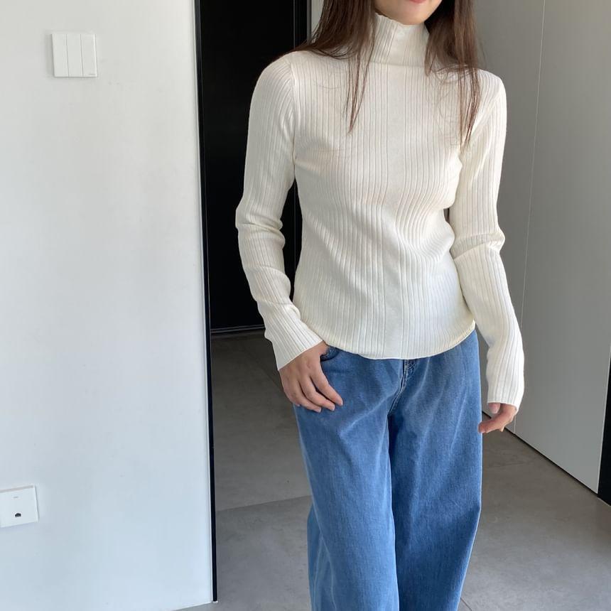 Turtleneck Plain Ribbed Sweater Product Image