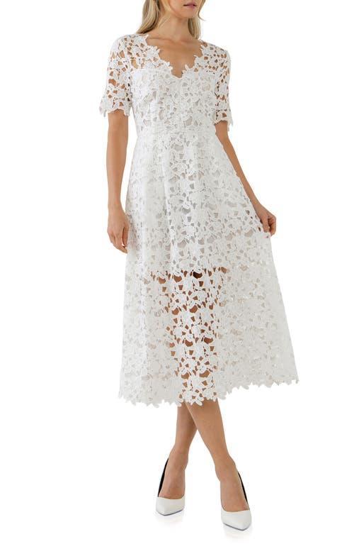 Endless Rose Allover Lace Midi Dress Product Image