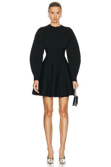 Alexander McQueen Corset Crewneck Mini Dress Black. (also in ). Product Image