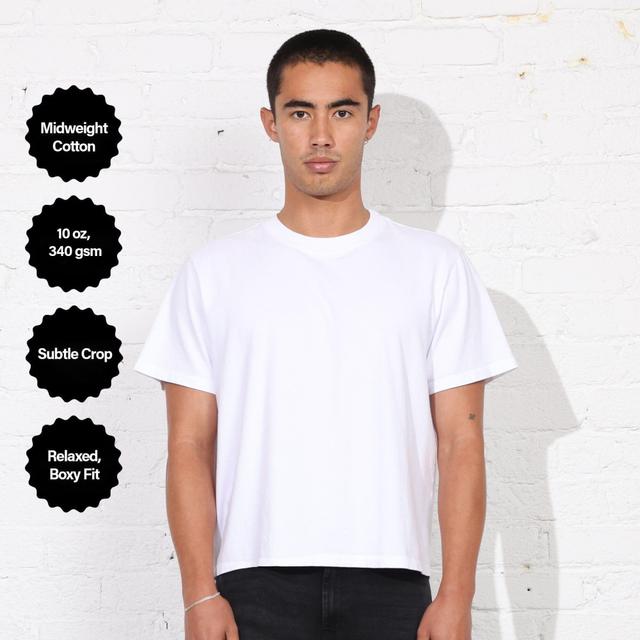 The Silverlake Crop Tee II Product Image