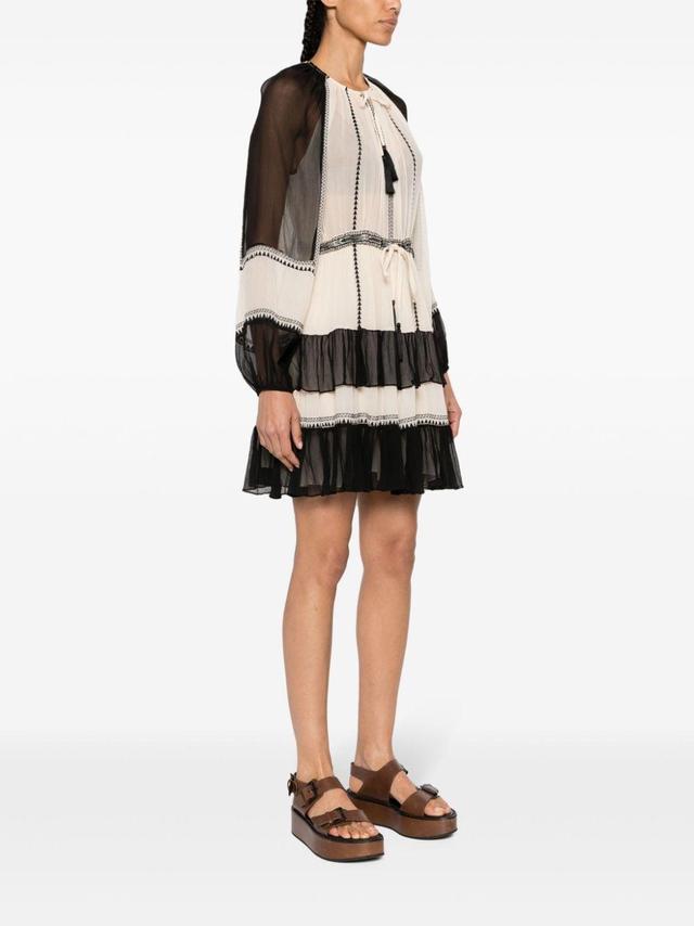 Loreli Embroidered Silk-crepon Mini Dress In Moonflower Product Image