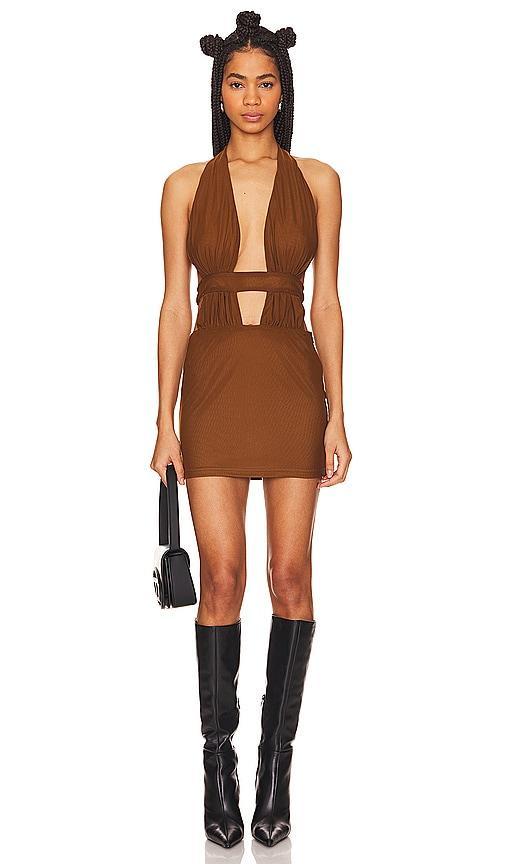 Levi Mini Dress Product Image