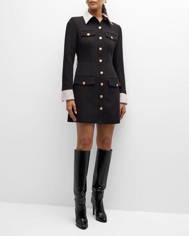 Valerie Long-Sleeve Collared Button-Front Mini Dress Product Image