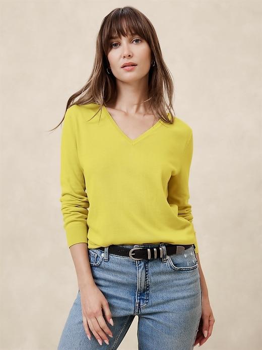 Forever V-Neck Sweater Product Image