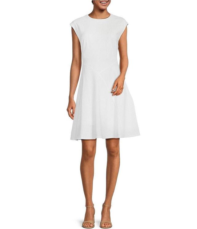 Calvin Klein Sleeveless Crew Neck Scuba Crepe Fit and Flare Dress Product Image