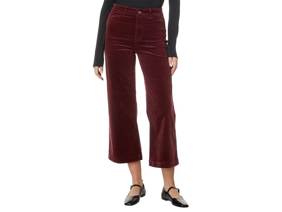 Paige Anessa in Dark Oxblood (Dark Oxblood) Women's Jeans Product Image