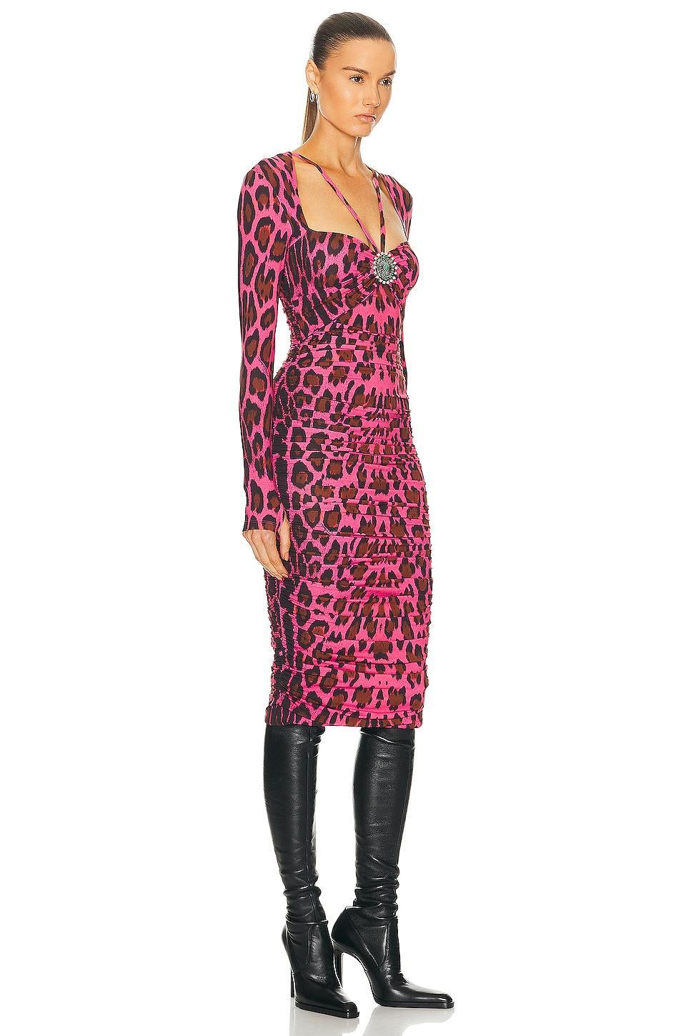 Roberto Cavalli Leopard Bodycon Dress in Fuchsia Product Image