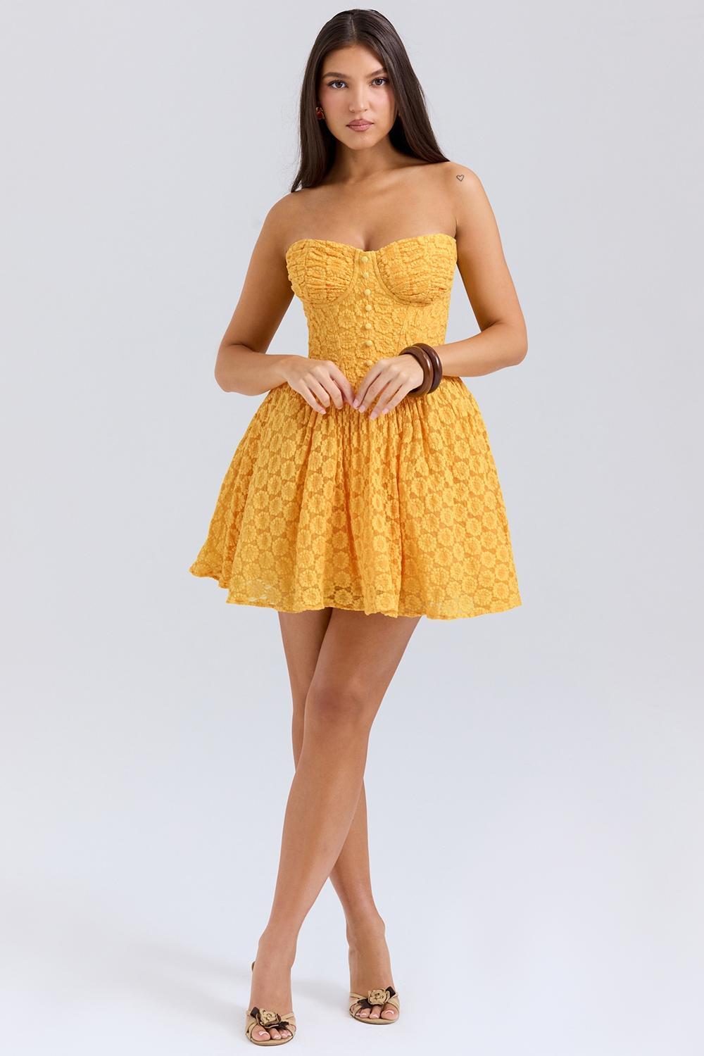 Carolina Apricot Lace Corset Mini Dress Product Image