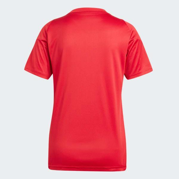 Tiro 24 Jersey Product Image