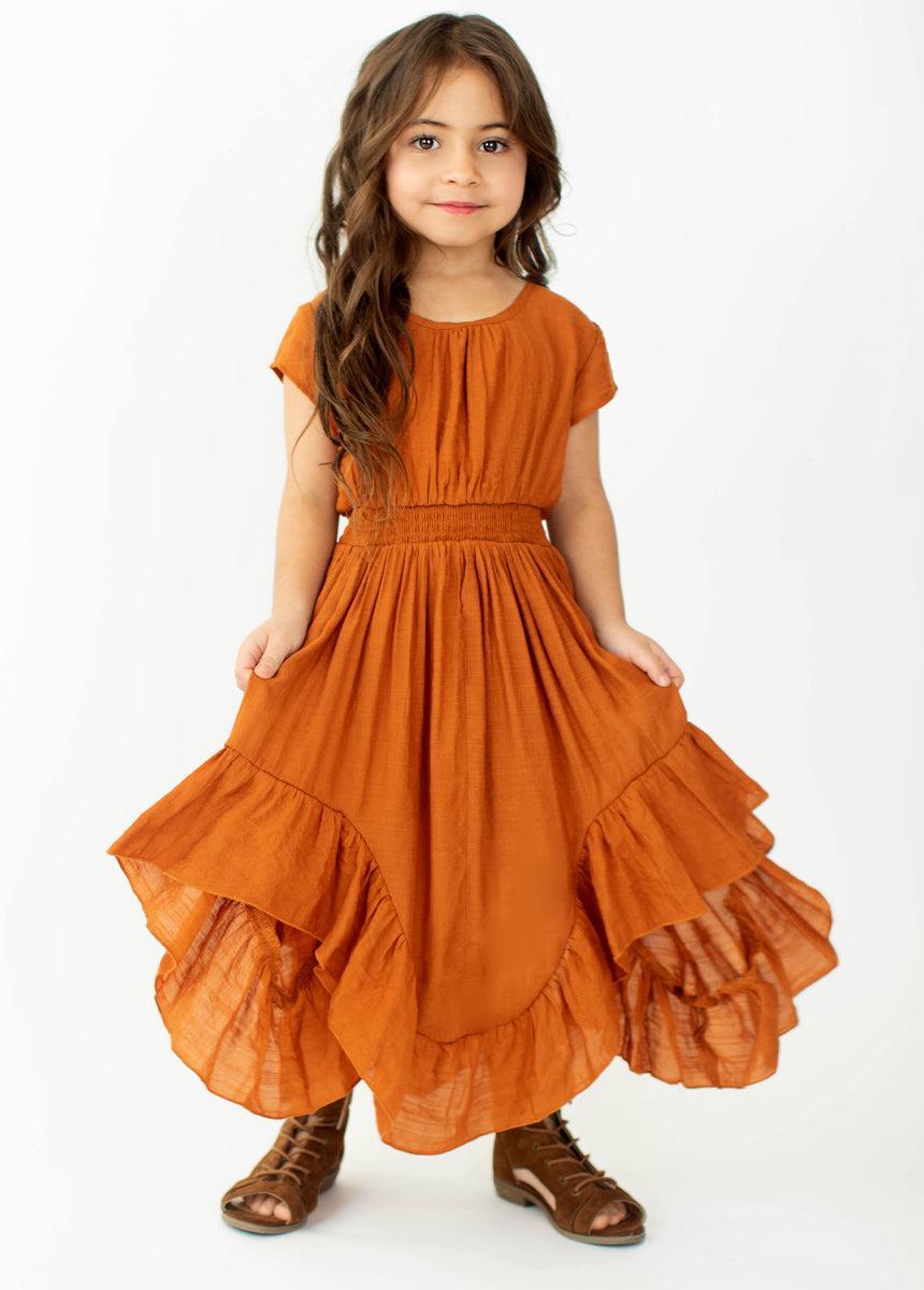 Briley Dress in Spice product image