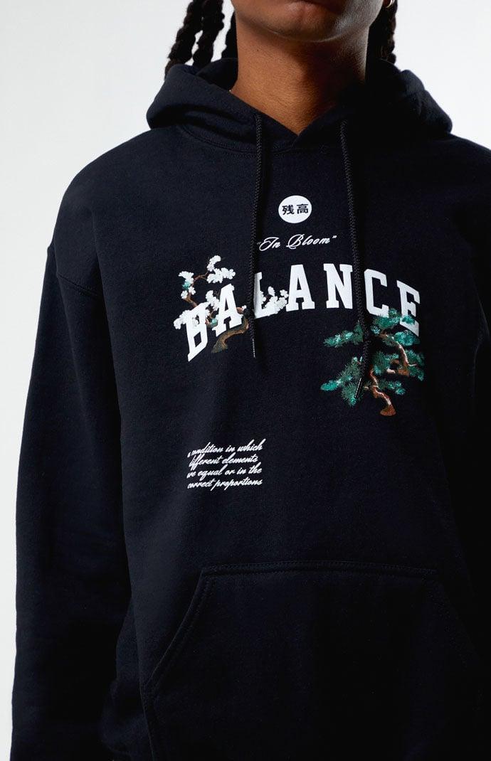 Mens Balance Hoodie Product Image