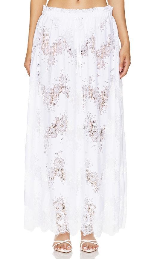 Dani Sheer Maxi Skirt Product Image