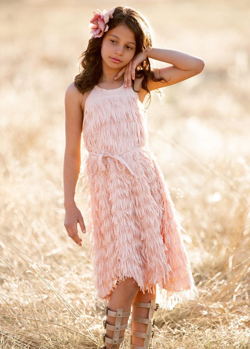 Caleo Dress in Blush Product Image