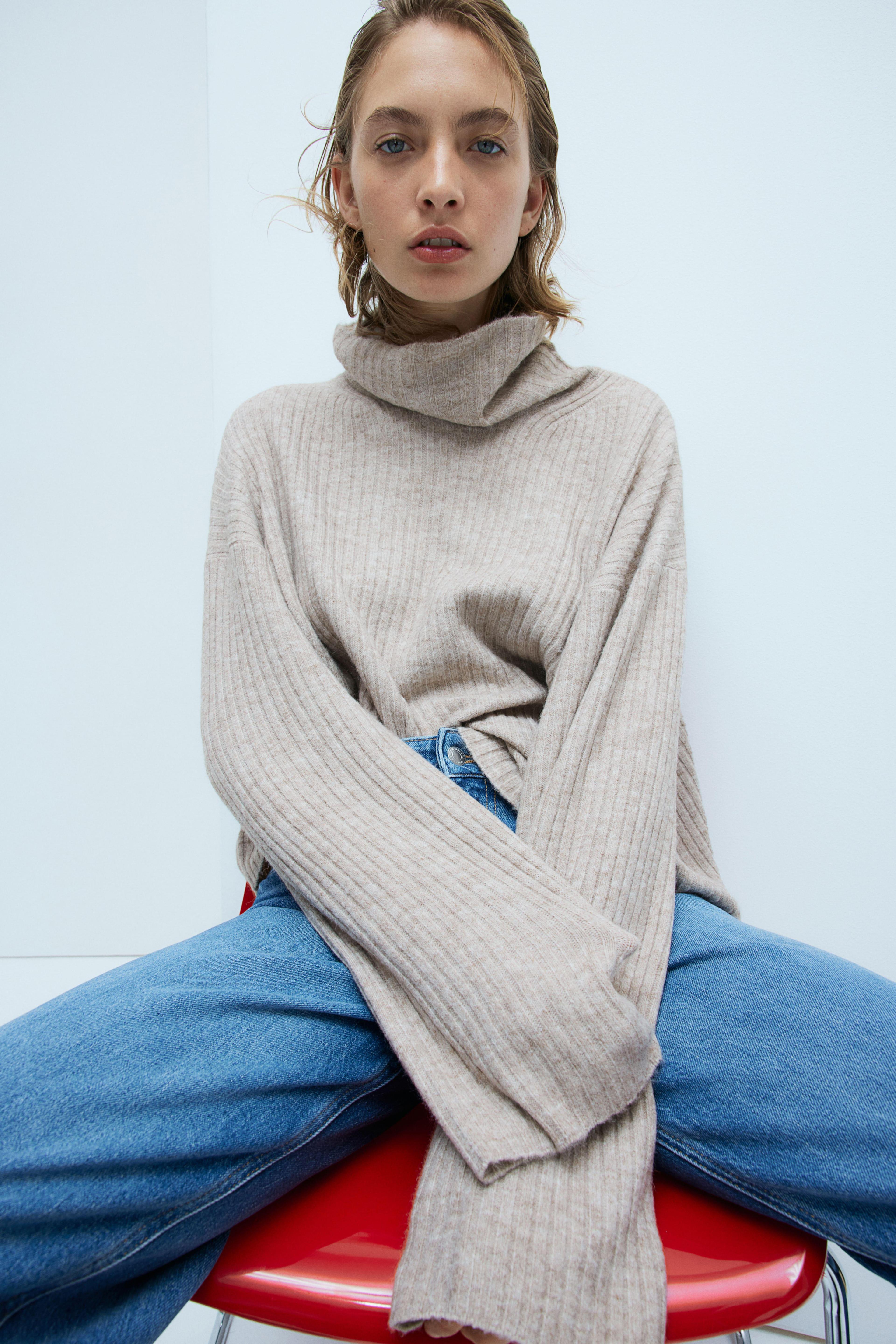 Oversized Turtleneck Sweater Product Image