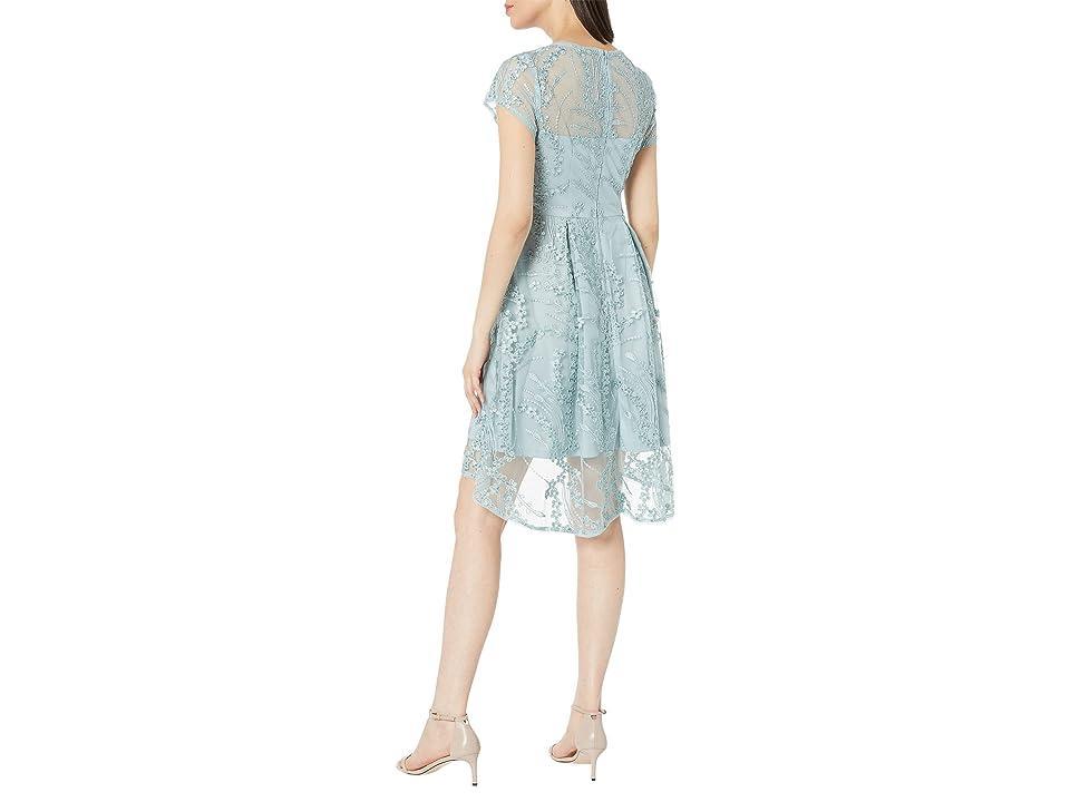 Adrianna Papell Sequin Embroidered Cocktail Dress (Icy Sage) Women's Dress Product Image