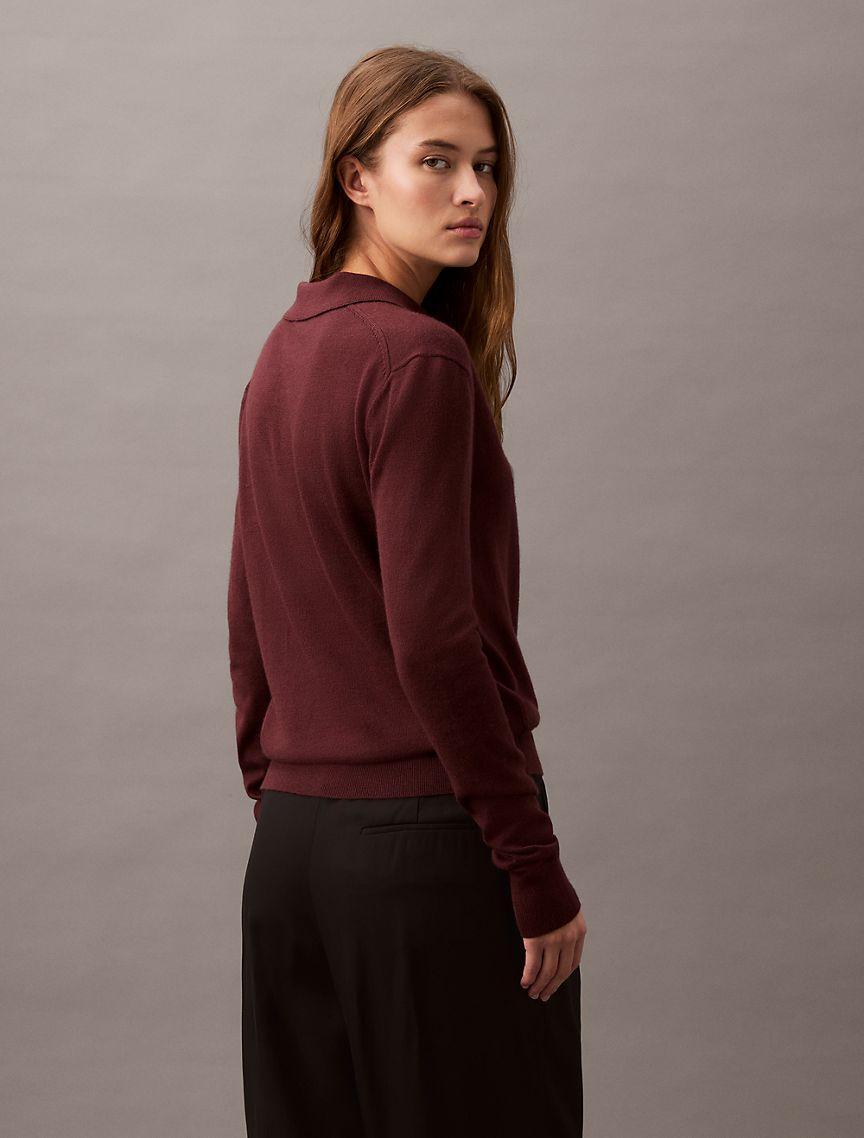 Extra Fine Merino Blend Polo Sweater Product Image