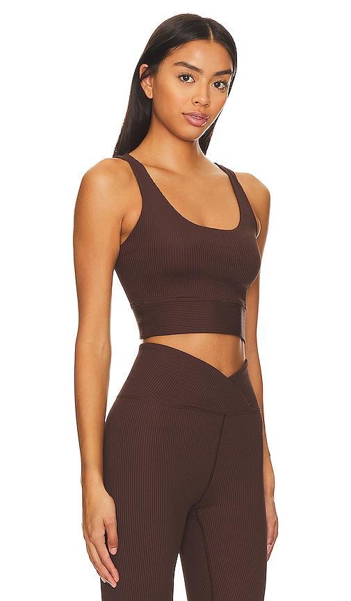 YEAR OF OURS Ribbed Gym Bra in Brown. Product Image