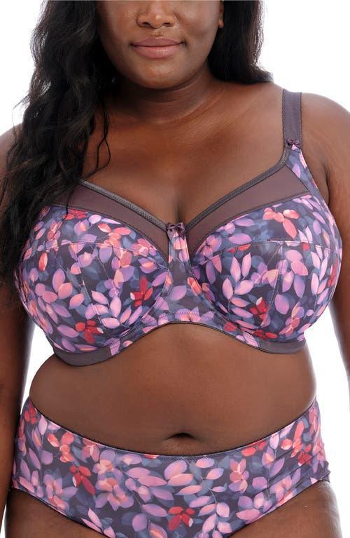 Goddess Kayla Full Figure Underwire Bra Product Image