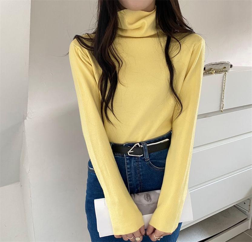 Long-Sleeve Turtleneck Plain Knit Top Product Image