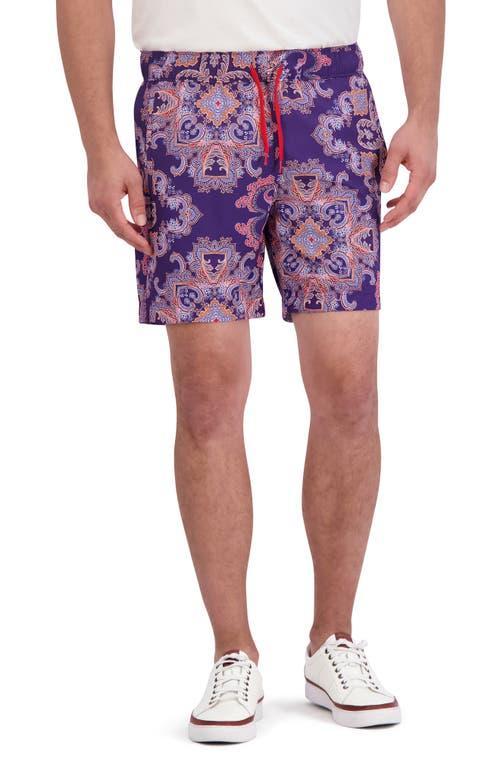 Robert Graham Loki Swim Trunks Product Image