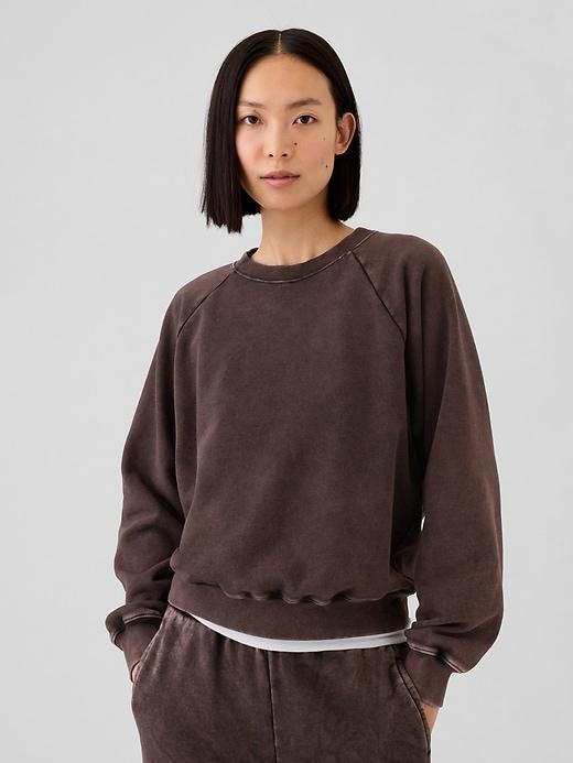 Vintage Soft Raglan Sweatshirt Product Image