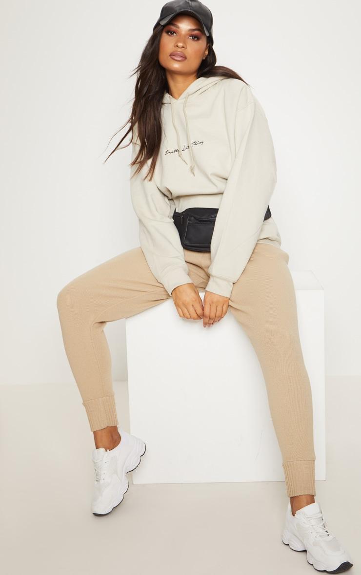 PRETTYLITTLETHING Sand Oversized Basic Sweat Hoodie Product Image