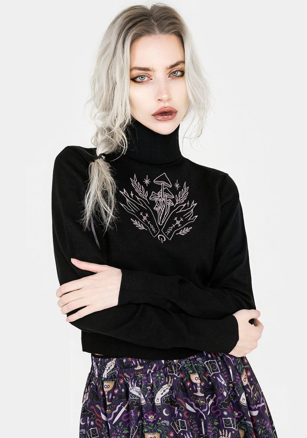 Mystify Embroidered Roll Neck Crop Sweater Product Image