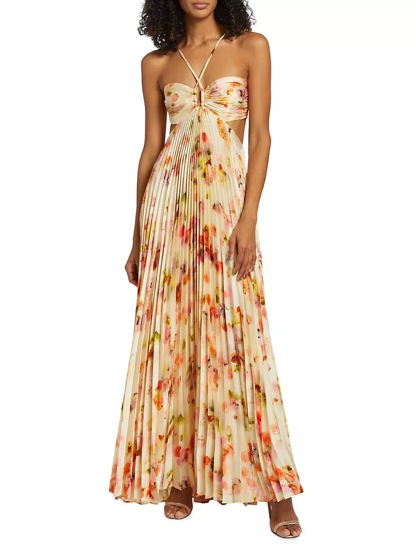 Moira Pleated Floral Maxi Dress Product Image