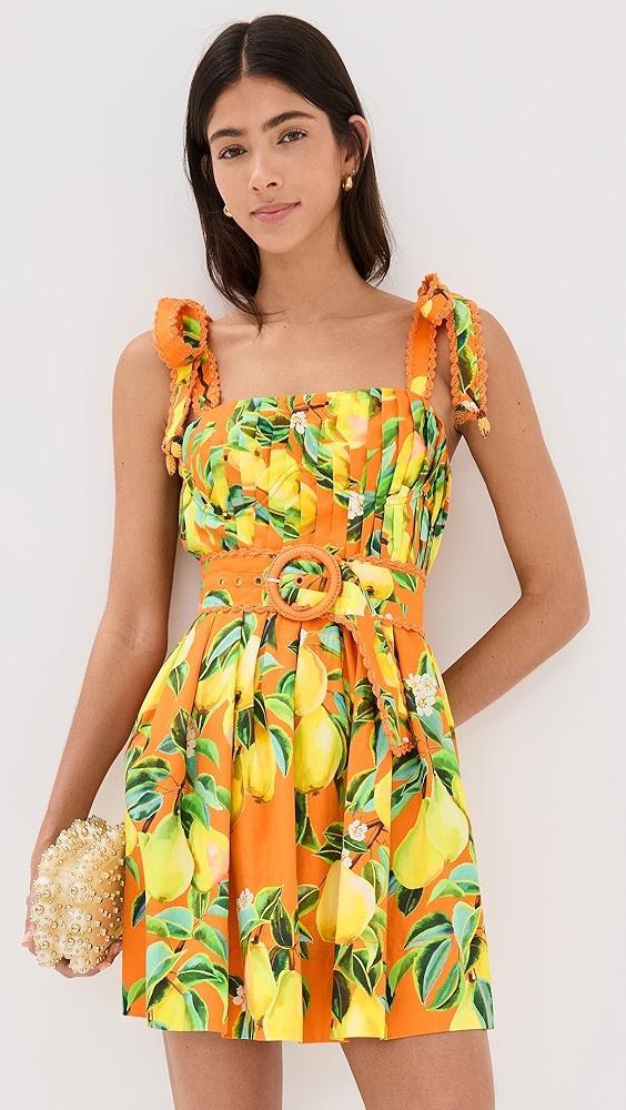 FARM Rio Orange Chic Pears Mini Dress | Shopbop Product Image