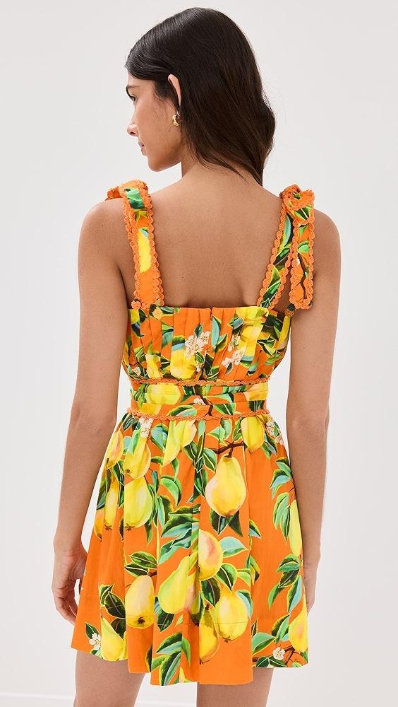 FARM Rio Orange Chic Pears Mini Dress | Shopbop Product Image