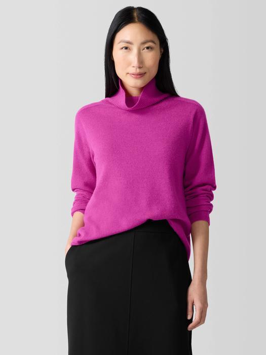 EILEEN FISHER Italian Cashmere Turtleneck Topfemale Product Image