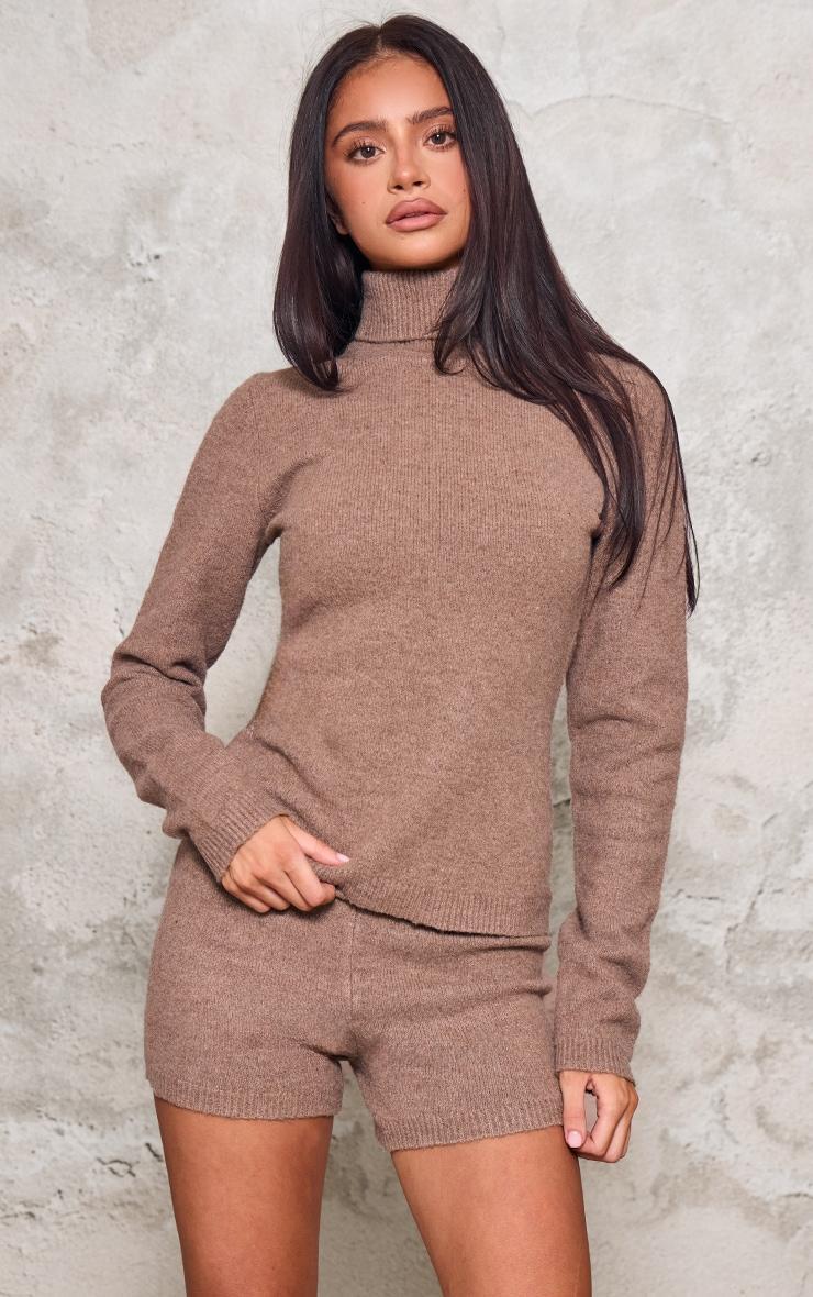 Petite Brown Knitted High Neck Long Top Product Image