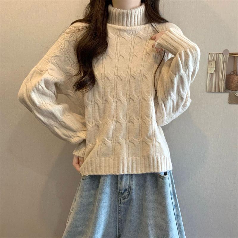 Turtleneck Plain Cable Knit Sweater Product Image