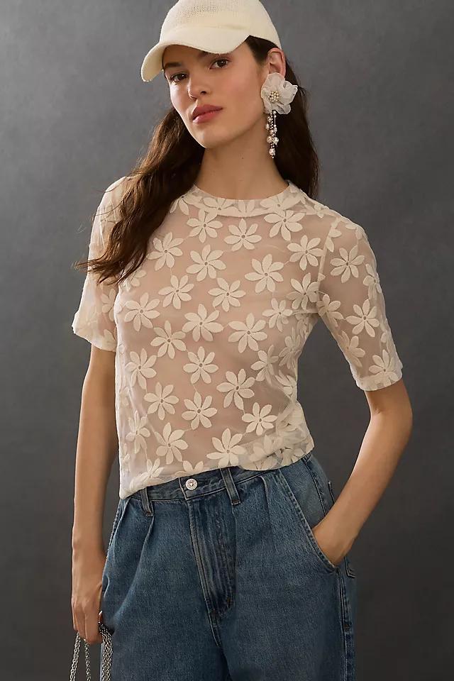 Porridge Daisy Sheer Lace Tee Product Image