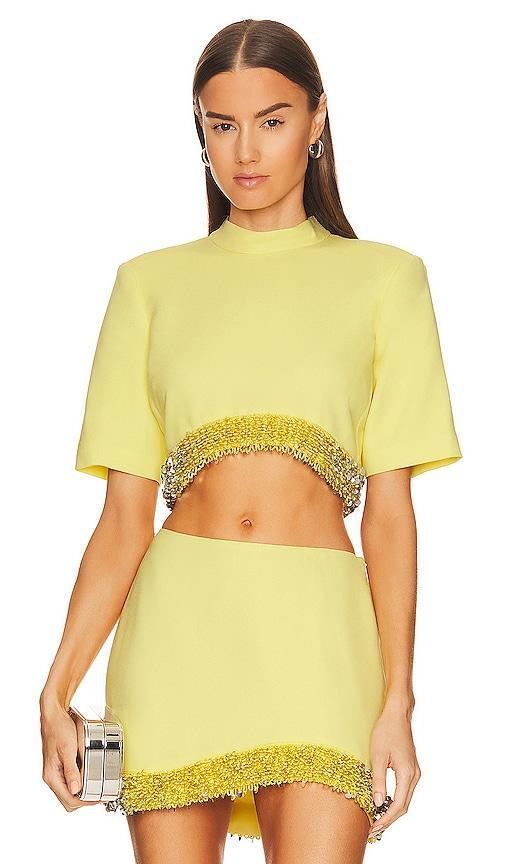 Jalen Embellishment Crop Top Product Image