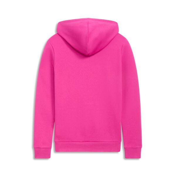 ESS Small Logo Women's Hoodie Product Image