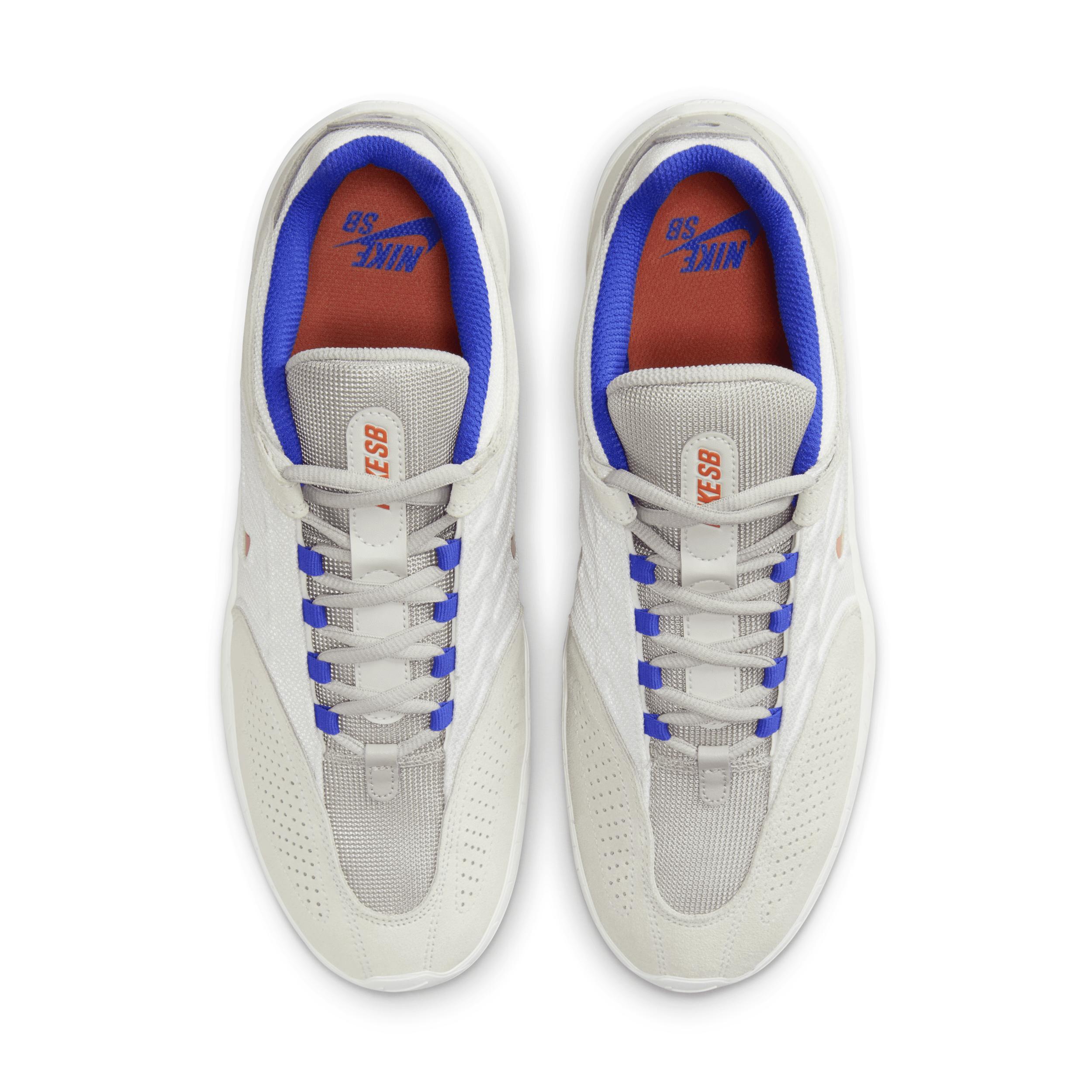 Men's Nike SB Vertebrae Shoes Product Image