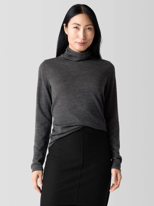 Fine Merino Turtleneck Top in Regenerative Wool Product Image