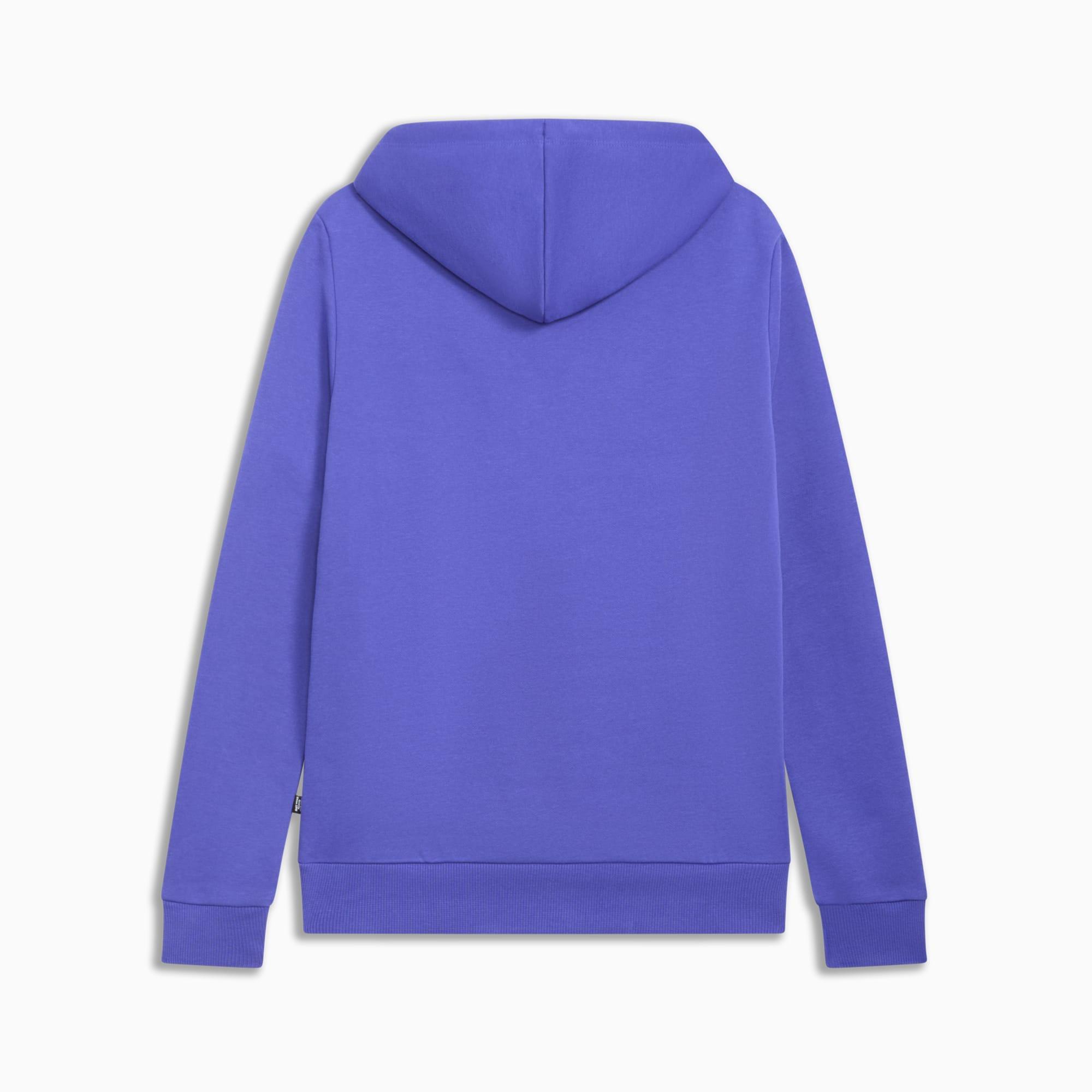 ESS Small Logo Women's Hoodie Product Image