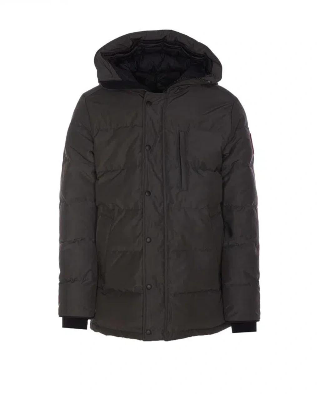 CANADA GOOSE Coats & Jackets In Grey Product Image