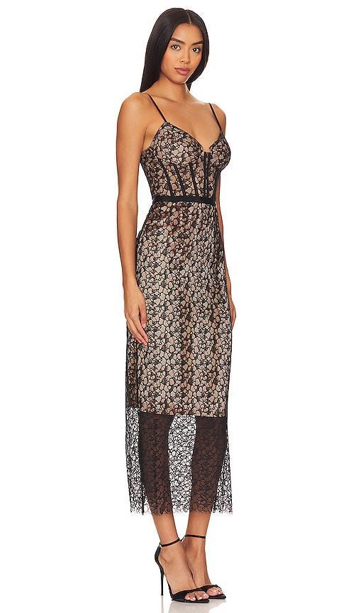 Womens Ruth Lace Bustier Midi-Dress Product Image