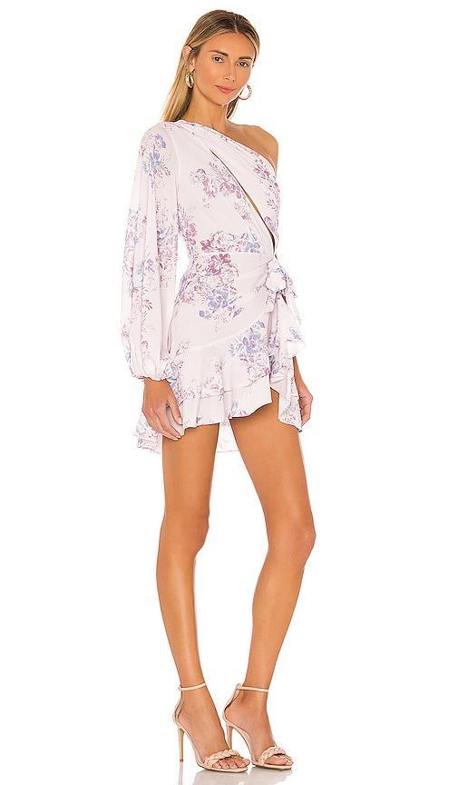 Michael Costello x REVOLVE Sunny Mini Dress Size XL, XXS. Product Image