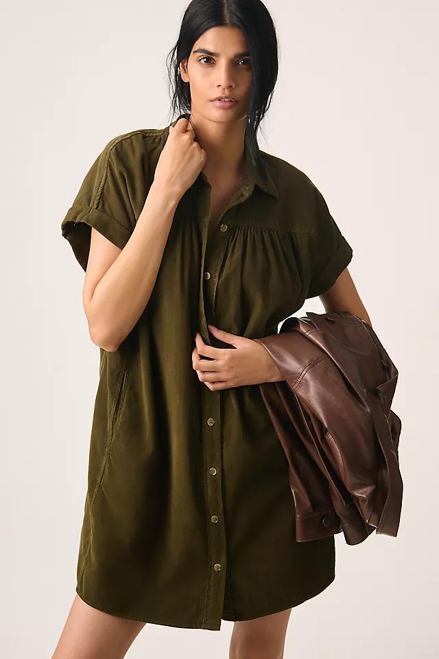 Velvet by Graham & Spencer Macie Button-Front Mini Shirt Dress Product Image