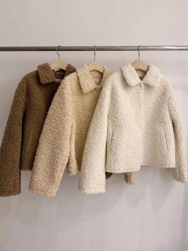 Collared Plain Button Teddy Jacket Product Image