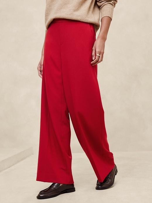 Hayden Wide-Leg Pant Product Image