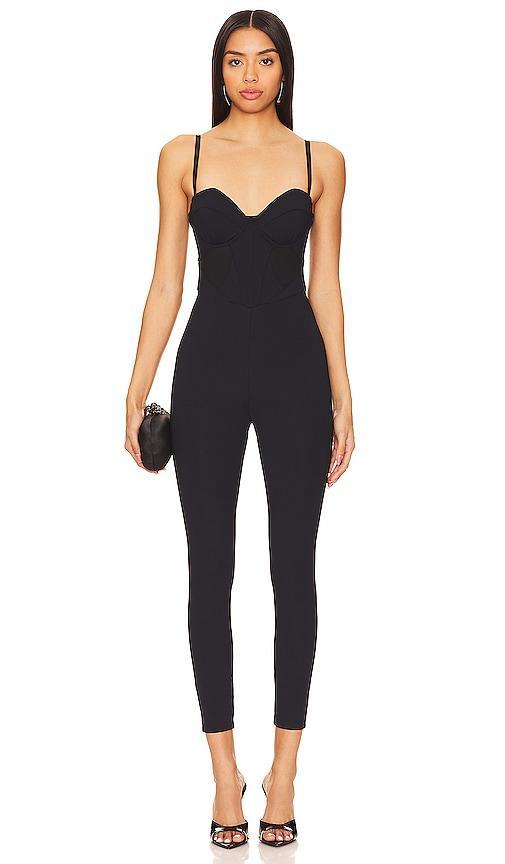 Silk Bustier Jumpsuit Product Image